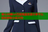 糖心纠缠txt百度网盘资源分享平台，轻松获取小说文档