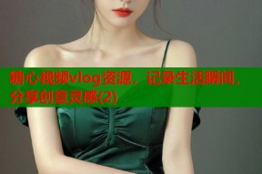 糖心视频vlog资源，记录生活瞬间，分享创意灵感(2)